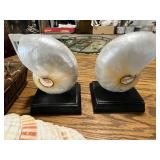 Collection of Decorative Sea Shells and Nautilus Shell Bookends
