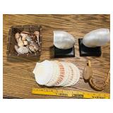 Collection of Decorative Sea Shells and Nautilus Shell Bookends