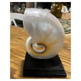 Collection of Decorative Sea Shells and Nautilus Shell Bookends