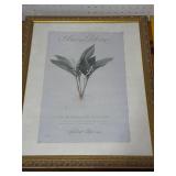 Art in Bloom 1999 Framed Print by Pierre-Joseph Redout