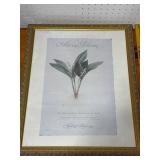 Art in Bloom 1999 Framed Print by Pierre-Joseph Redout