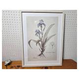 Framed Botanical Iris Print - 24" Tall Wall Art