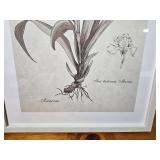 Framed Botanical Iris Print - 24" Tall Wall Art
