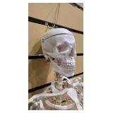 Flexible Life-Size Human Skeleton Anatomy Model (5877710)