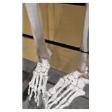 Flexible Life-Size Human Skeleton Anatomy Model (5877710)