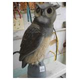 Dock Owl