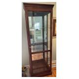 Tall Wood and Glass Curio Cabinet with Lighting