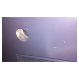 Waudena 2 Panel Fire Door, Exterior, 36 in.