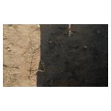Mainstreet Desert Tan Siding (3+ boxes) J channel.