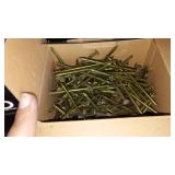 Wood pro Coil Nails, Nails, Screws.