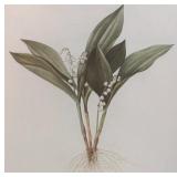 LR - Art in Bloom Print Minneapolis Institute of Arts 1999