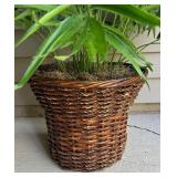 LL - Faux Palm Plant in Woven Basket Planter