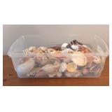 LL - Bin of Assorted Seashells and Sea Glass
