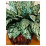 LL - 29-Inch Artificial Greenery Plant in Wicker Basket Planter