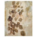 LL - S. Sokolowska Signed Framed Mixed Media Botanical Artwork Print