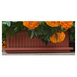 Marigold Plant Duo