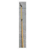 Specialty Tree Pruning Tools