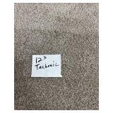 144 SF Carpet REM - Techonic 12