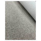 70 SF Carpet REM - Techonic