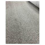 70 SF Carpet REM - Techonic