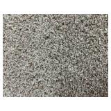 144 SF Carpet REM - Techonic