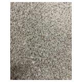 144 SF Carpet REM - Techonic