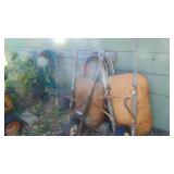 2- Wheel Barrows with Lot of Water Hoses