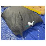 LoveSac PillowSac (no cover)