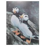 Pair of Framed Annette Hartzell Puffin Art Prints Limited Edition 30x14 Inches