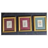 Set of 3 Framed Botanical Prints with Gold Frames