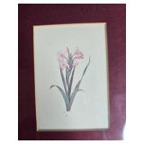 Set of 3 Framed Botanical Prints with Gold Frames