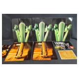 Framed Water Lily Photograph and Unframed Botanical Art Prints Collection