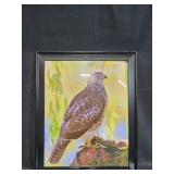 Collection of Wildlife Art Prints and Framed Hawk Photograph, 23x19 Inches