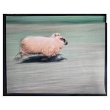 Collection of Wildlife Art Prints and Framed Hawk Photograph, 23x19 Inches