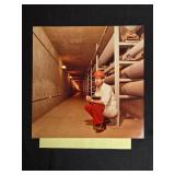 Collection of Vintage Architectural and Industrial Photographs