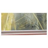 Framed Signed and Numbered Wolf Wildlife Art Print, 211/600