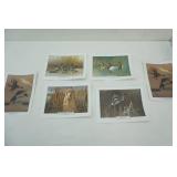 Wildlife Prints (6ct)