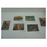 Wildlife Prints (6ct)