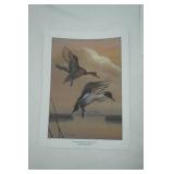 Wildlife Prints (6ct)