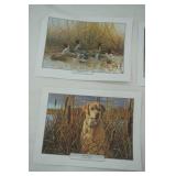 Wildlife Prints (6ct)
