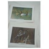 Wildlife Prints (6ct)