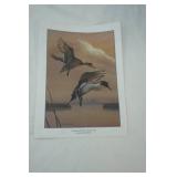Wildlife Prints (6ct)