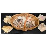 Basket of Sea Shells