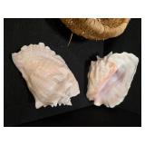 Basket of Sea Shells