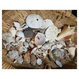 Basket of Sea Shells