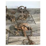 Lot of 13 Hunting Traps