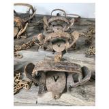 Lot of 13 Hunting Traps