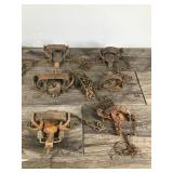 Lot of 13 Hunting Traps