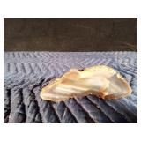 Large 1lb 9.5oz Agate