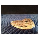 Alligator head